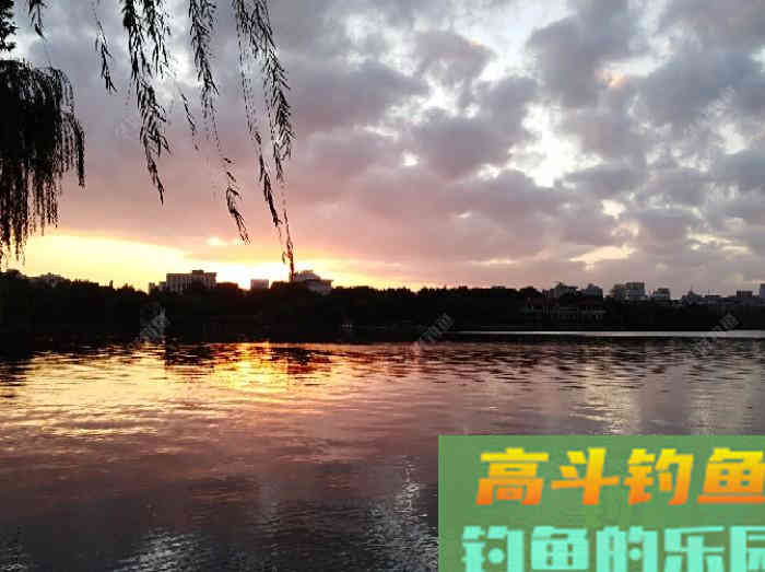 几种不宜挂钩作钓的饵，注意用饵方面的灵活运用与变化
