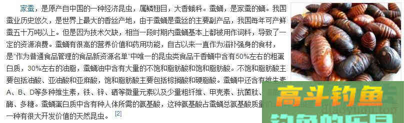 本来是食材，但是用来钓鱼，效果丝毫不差于蚯蚓和红虫