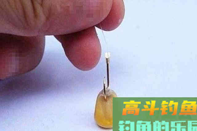 5大公认的特效饵，比商品饵好用得多