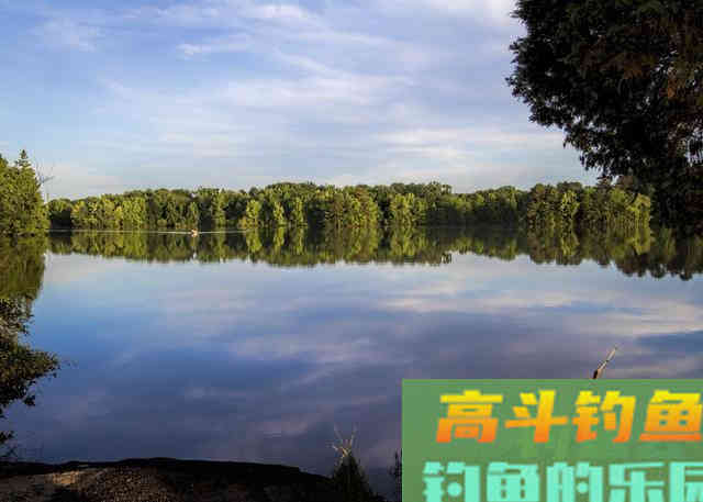 我在饵中用了点玉米饼子，竟然是我上鱼多的秘诀