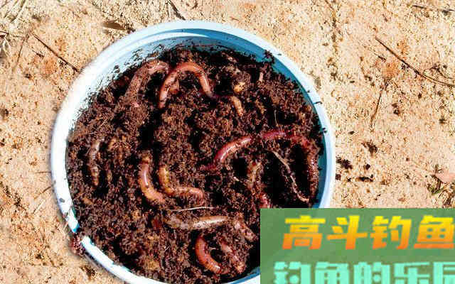 开饵时3个常被忽略细节，别以为对鱼口没影响