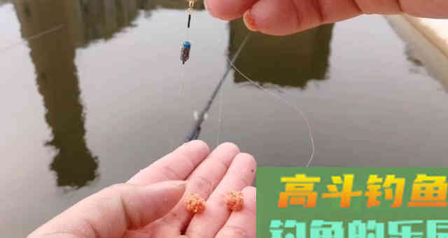 饵料出丝太多，教你四种应对办法，轻松解决