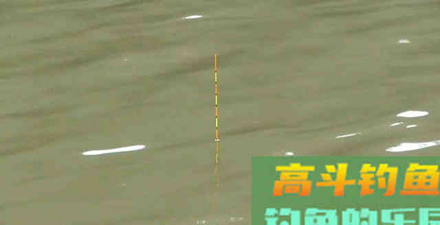 辟谣：懒人神器“仿生蚯蚓”，南北通杀专钓大板鲫