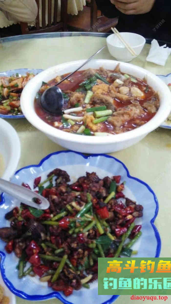 钓鱼从饵料味型分析，如何搭配，讲透基础饵和主攻饵