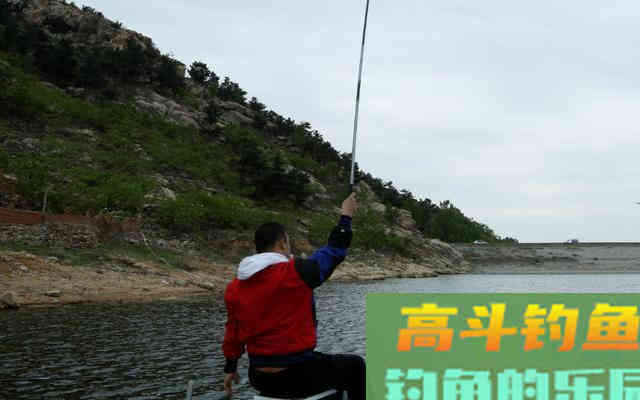 采用谷子钓法，水库野钓如何打窝