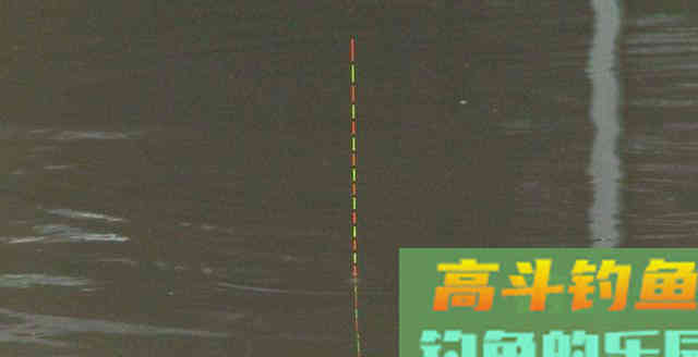 4种错误的打窝方式，浪费窝料还钓不到鱼