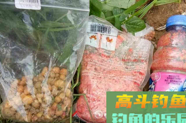 钓鲤鱼的实用饵料，抢手货头一次用就过了瘾