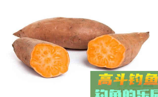 野钓鲫鱼，饵料根本不用买，用这些物料