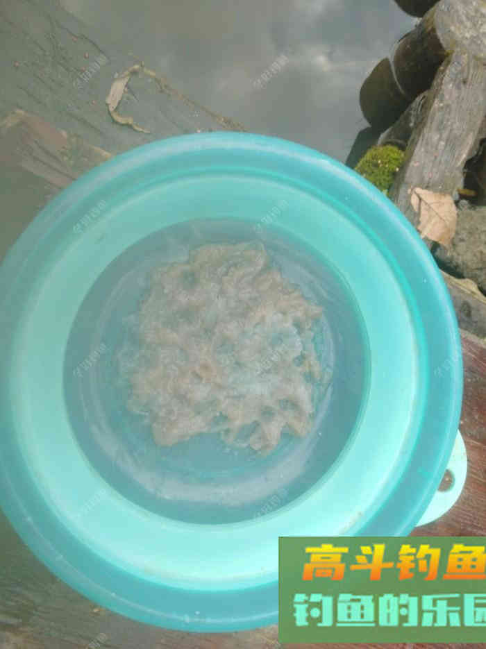 虾拉饵真实的制作过程与效果