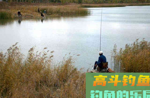 什么是钓鱼小药？介绍小药来历与现状