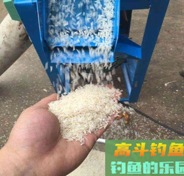 纯大米如何才能只做窝料？我来教你