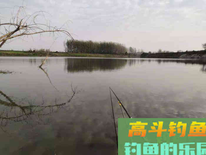 在钓鱼打窝后，怎么判断鱼是否有进窝，通过3个方法即可
