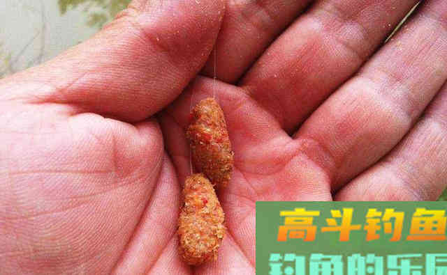 用搓饵的钓友，看完这文章，对提升渔获有很大帮助