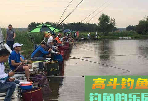 细说打窝诱鱼的思路与操作手法，助你爆护