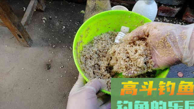 学会这样自制酒米，以后再也不用靠买了，实惠还好用