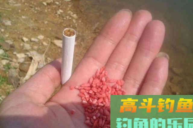 一到夏天，我就喜欢用这鲫鱼窝料