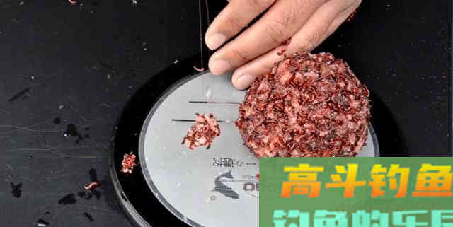 自制红虫拉饵伴侣，谨记这4个指标，效果提升50%