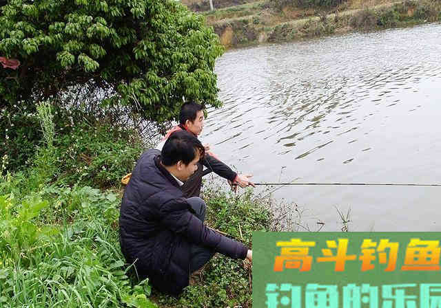 分享三种豆渣在钓鱼中的用法，想省钱多钓鱼的钓友看