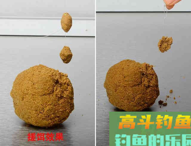 小黄面为什么风靡黑坑？它是一种怎样的钓饵