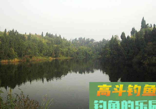 自制鱼饵配方送钓友，大小鱼通杀，感兴趣的拿走