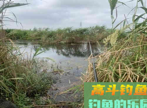 野钓不同深浅的水域，打窝技巧是否影响鱼获？