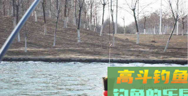 湖库钓鱼用什么打窝？如何打窝聚鱼更快