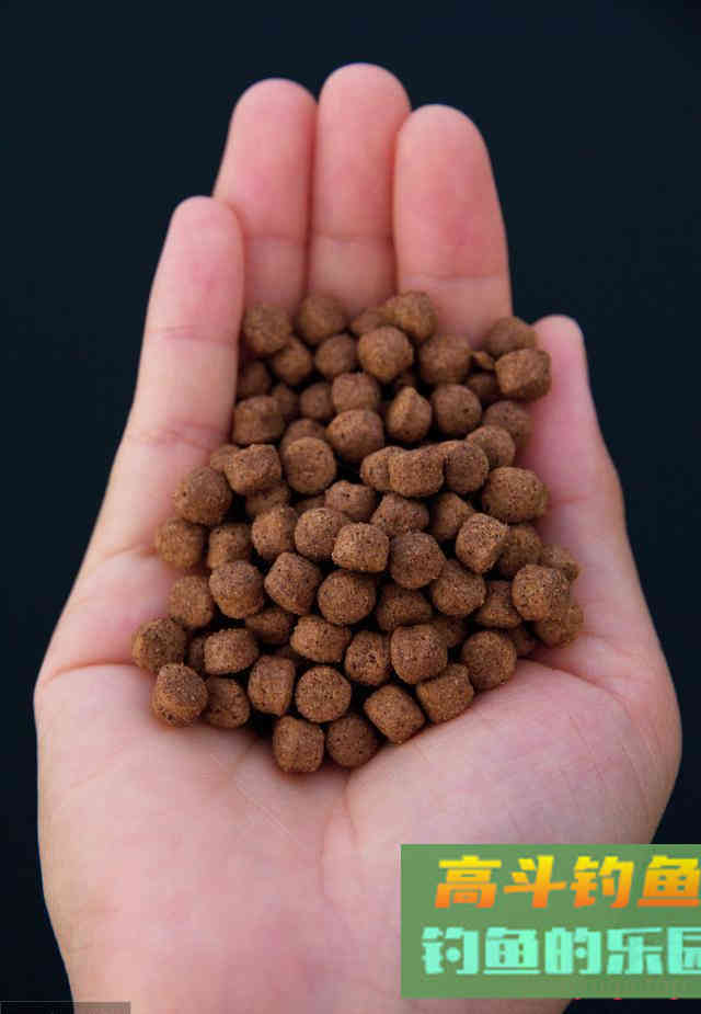 越贵的饵料效果越好？颗粒饵很廉价钓得可不少