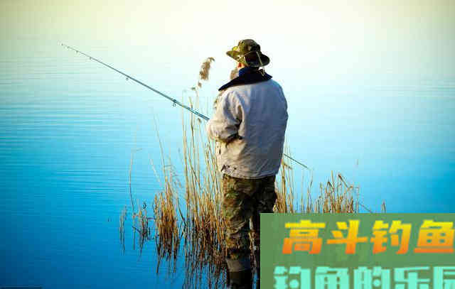 老钓手野钓鲫鱼的窝料秘方，有3个秘诀，别说用了你不信