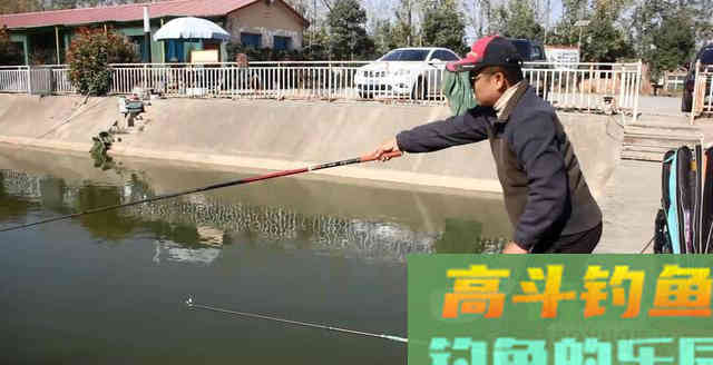 只要学会这1招散炮上饵法，你也只需猛拉上鱼就行了