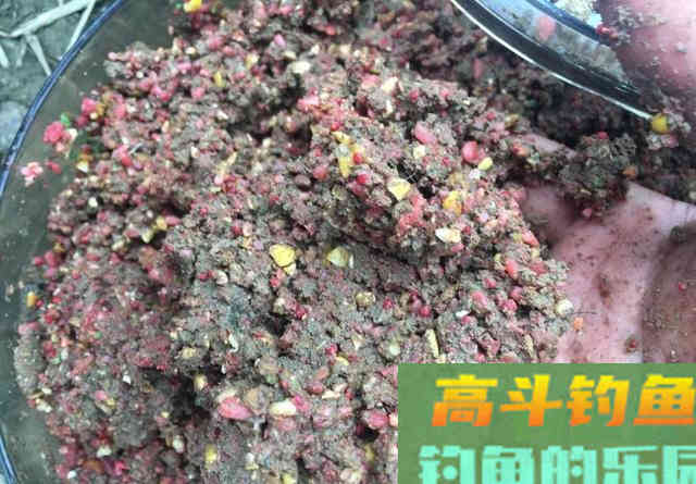 补窝后反倒停口？野钓补窝有三件事至关重要