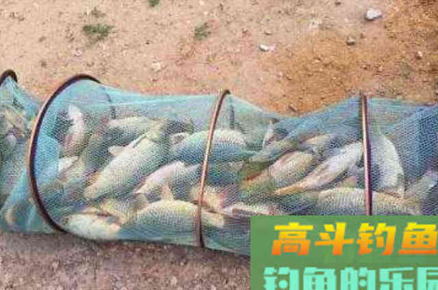 秋天野钓的时候，可以在开饵时添加的一些辅料