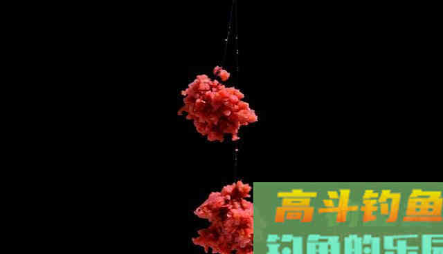 一包蓝鲫就能打天下！别傻了，看后会改变你的认知