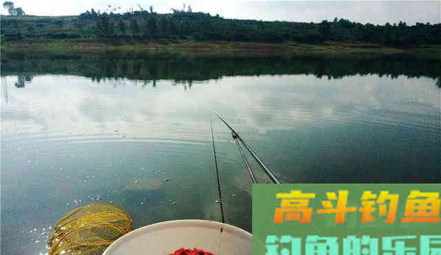 要想下杆就有鱼上钩，你可以试试这样打窝