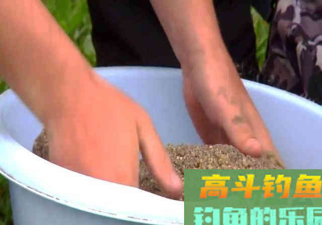 钓鱼打窝绝学分享，诱鱼不理想的钓友看过来
