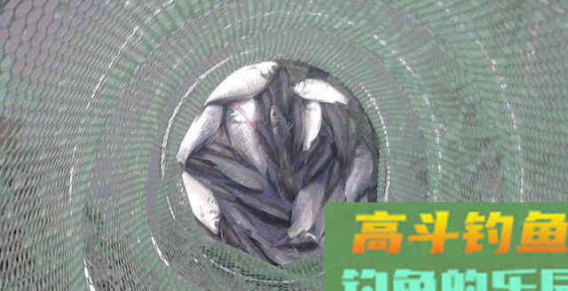不同的水情要按不同的模式调整鱼饵，照如下方法做就好