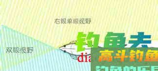 辟谣：懒人神器“仿生蚯蚓”，南北通杀专钓大板鲫
