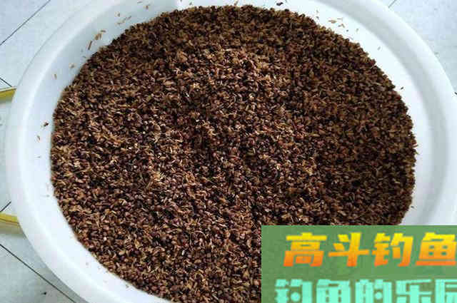 用五谷杂粮做窝料，诱鱼效果不比买的差