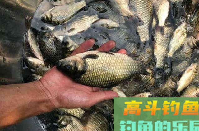 降温后，这两种天然小药要常用！简单又省钱