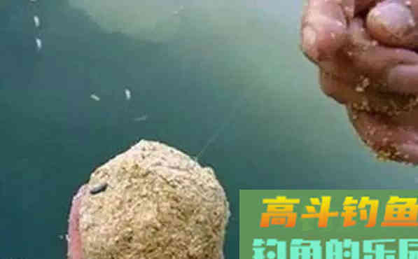 4种诱饵自制方法，真是独具一格！