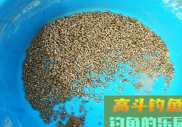 自制饵料我用了5年，黑坑钓鱼从来没输过，附制作方法