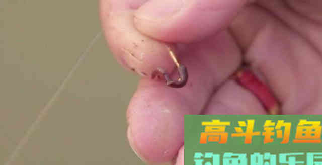 2种挂蚯蚓法，1种简单1种难，但各有优劣
