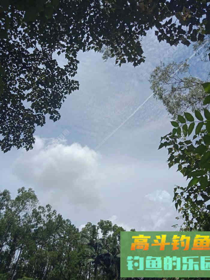 回家顺手试自配草鱼饵，还是七彩非伴随左右