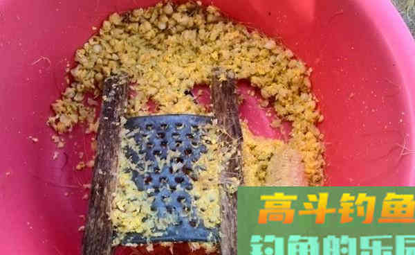 两种嫩玉米饵料制作方法，夏钓草鱼很给力