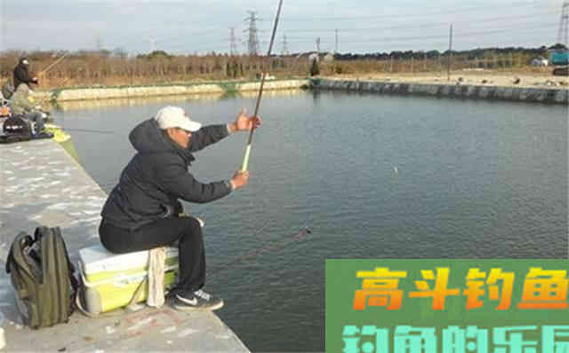 不打窝渔获好，打窝后反而没渔获，什么情况