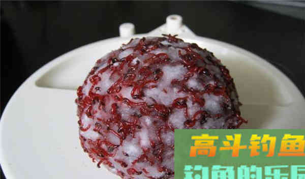 冬钓小鲫鱼，必用的三种饵料，你都用对了吗