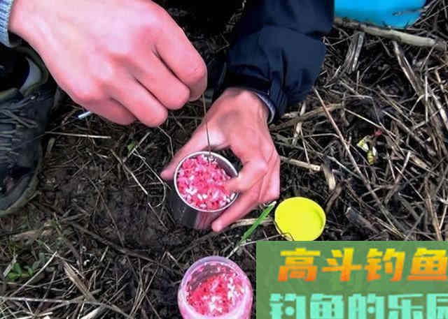 要想钓得多，必得先打窝，教你打什么窝，怎么打
