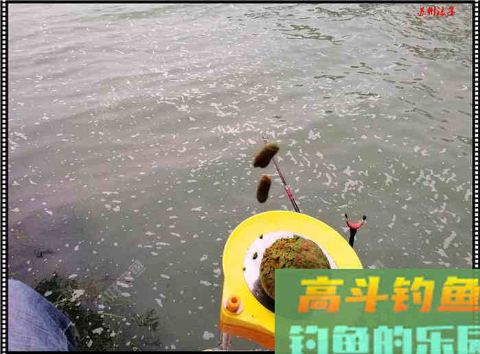 夏天大鱼诱惑之搓饵，高手探讨饵料