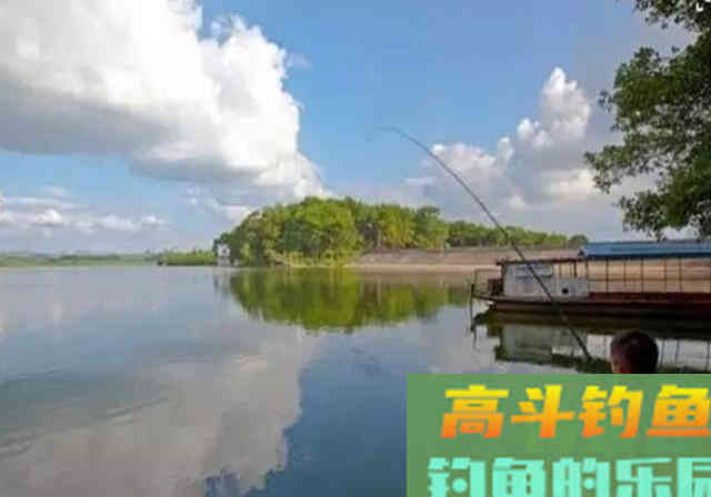 发窝之后，鱼儿半天不给口，问题一准出在这些地方