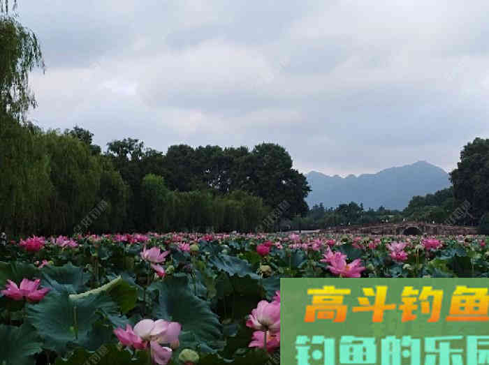 我对状态饵浅识和实操