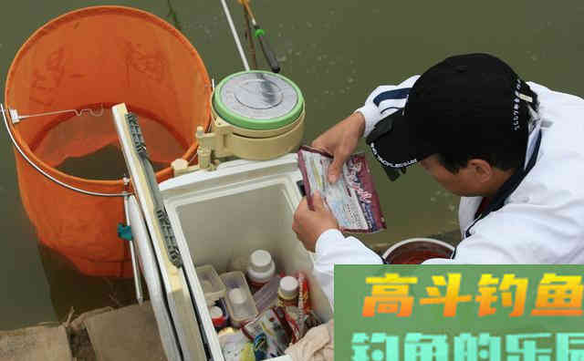 钓鱼高手们为啥咋钓都上鱼？原来用饵真是门学问